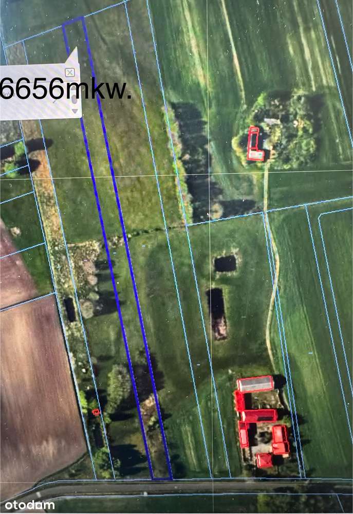 Chojny, 4 działki o łącznej powierzchni 3,5ha, zab.siedliskowa-2