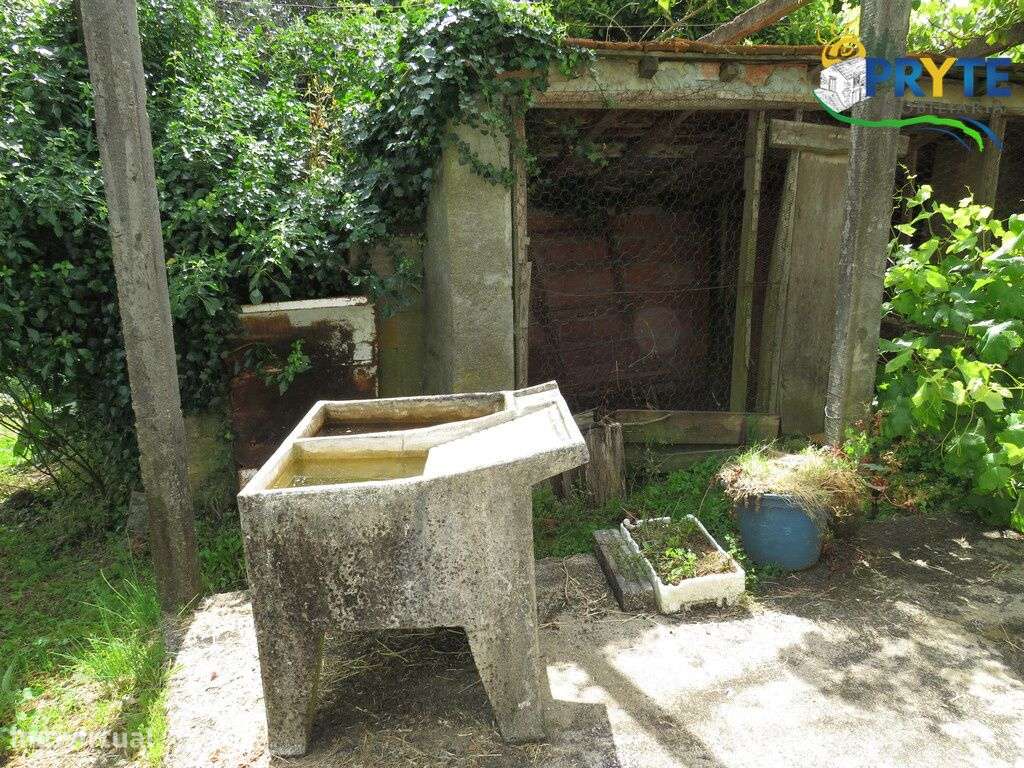 Quinta composta por moradia T4 situada perto de Cernache do Bonjardim-5