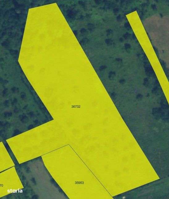 Teren / Zona Subcarpatica / Stoenesti / - Imagine principală: 2/2