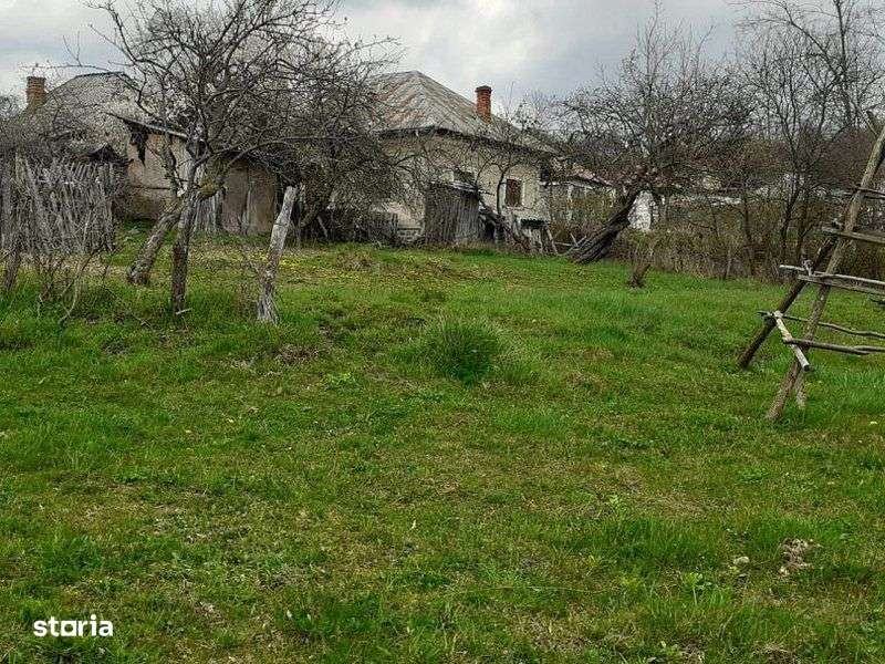 Casa de vanzare Cerbureni Arges-6