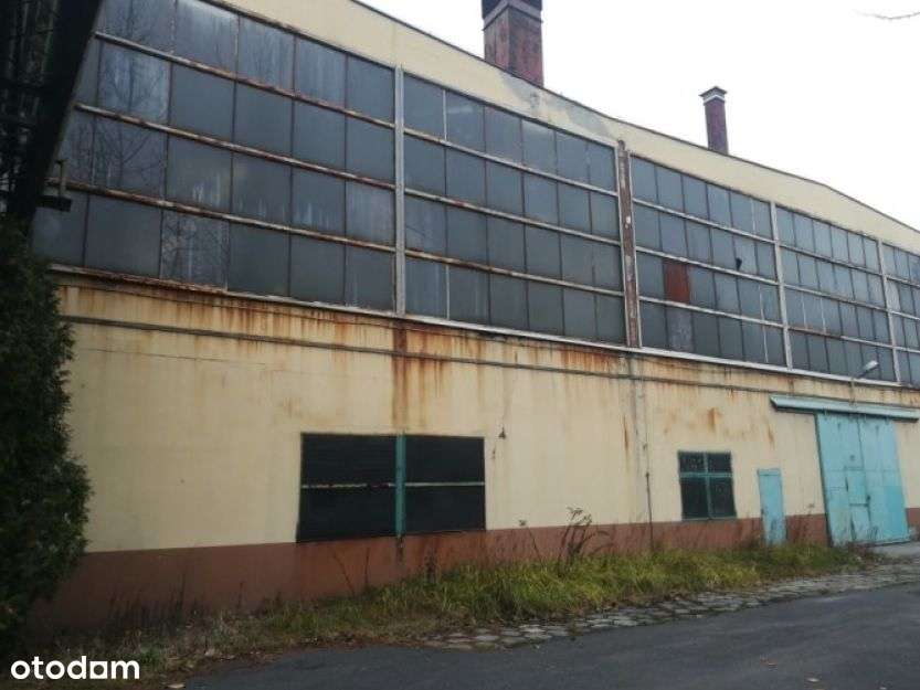 Hala produkcyjna - Pełny obrazek: 3/3