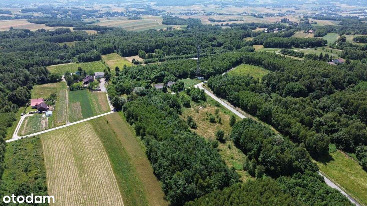 Widokowa działka 68 ar Będziemyśl-20km od Rzeszowa - Pełny obrazek: 5/5