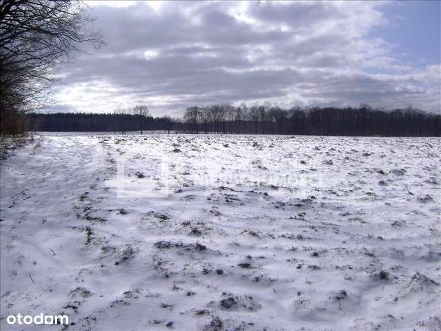 dj598334 - Pełny obrazek: 5/5