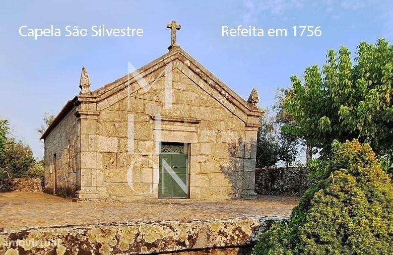 Terreno com Oliveiras- 793 - Grande imagem: 3/8