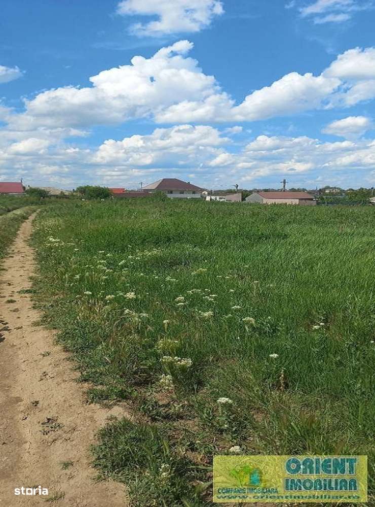 Techirghiol, teren 2.496mp, extravilan-5