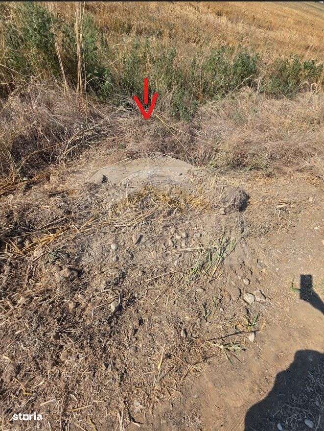 Teren intravilan 5.450 mp – Strada Castanilor, Ciorogârla – zonă rezid-3