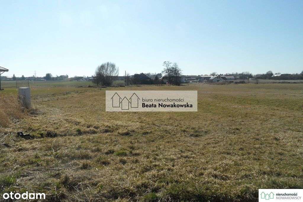 Działka, 3 653 m², Daszewice - Pełny obrazek: 5/10