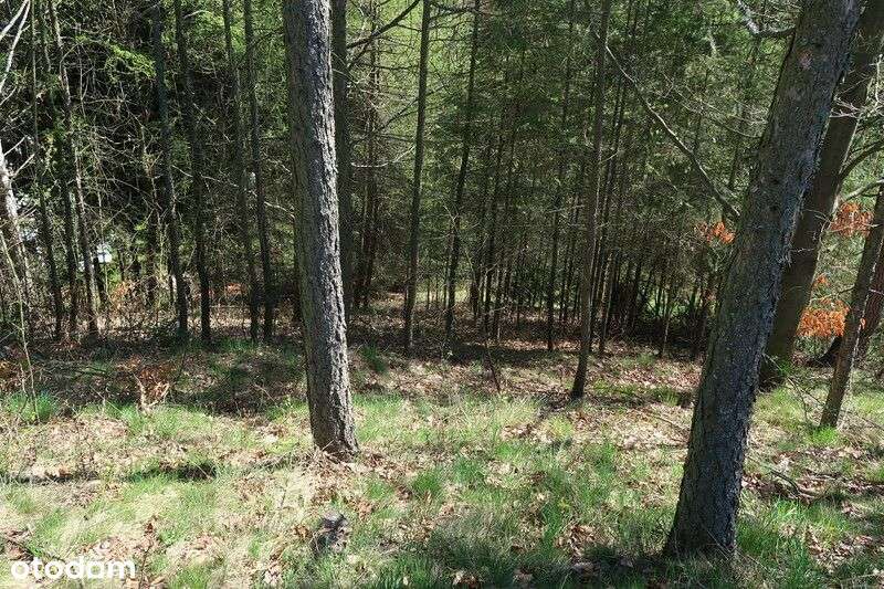 Janowice Wlk. Mały dom 3 pok. 65 m2-7