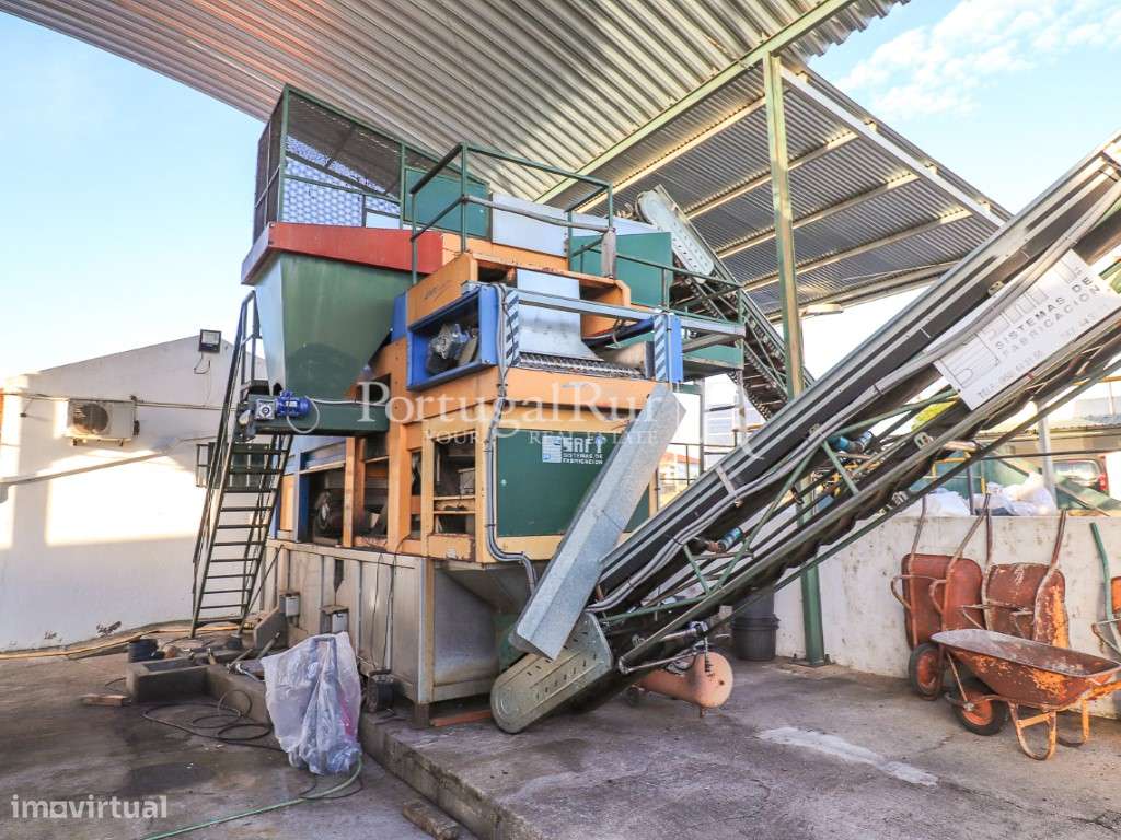 Unidade Industrial de Produção de Azeite & Elevado Potencial Produtivo-39