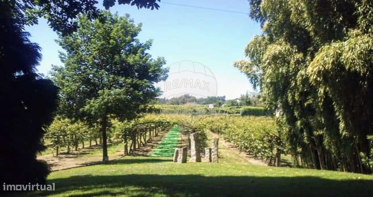 Quinta T3 para venda-14