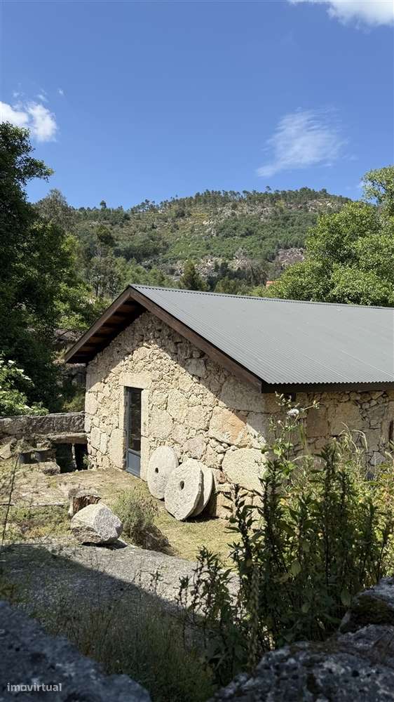 Moradia Isolada T3 Venda em Louriçal do Campo,Castelo Branco-12