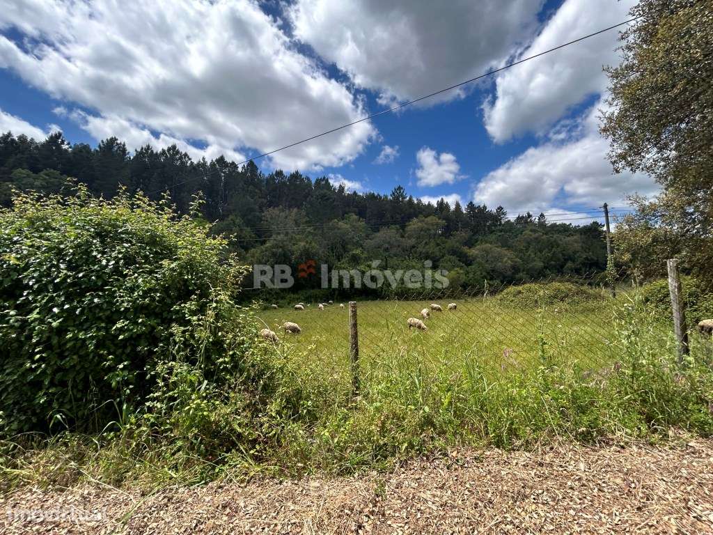 Terreno rústico com PDM Urbano - Carvalhais, Ferreira do Zêzere - Grande imagem: 3/25