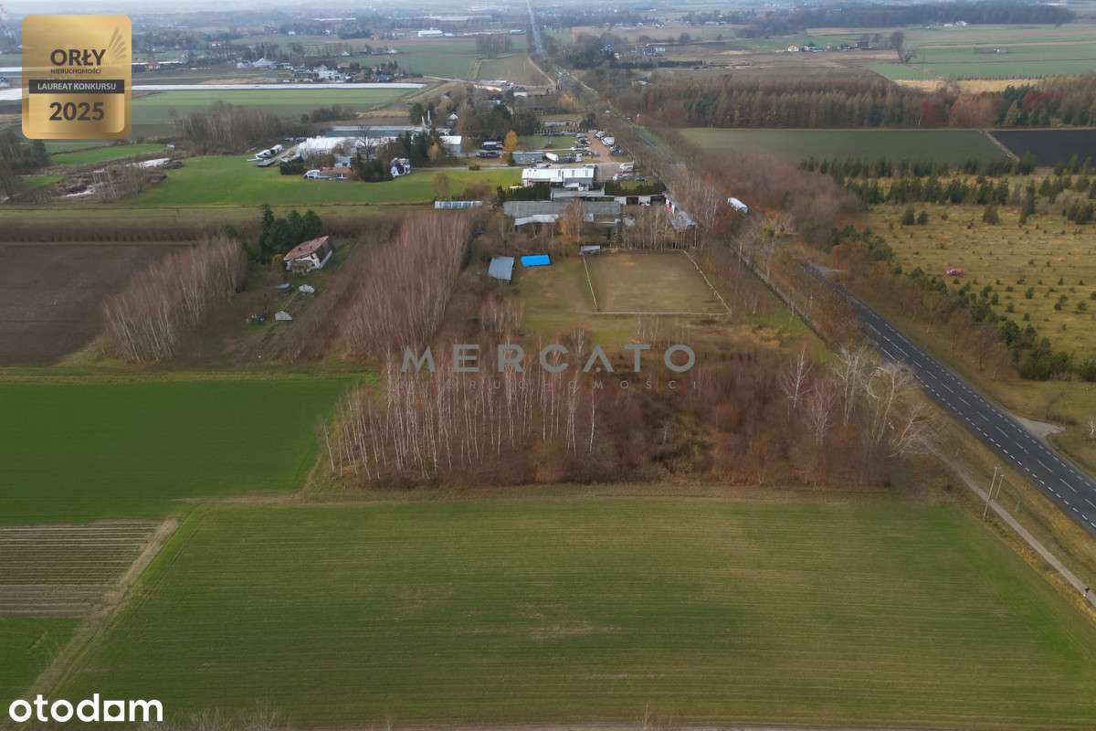 Działka 10 000 m² z potencjałem – na sprzedaż - Pełny obrazek: 5/7