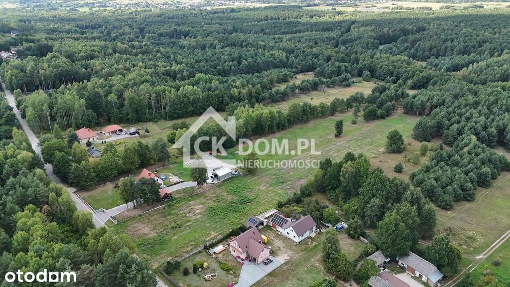 Działka na sprzedaż 910 m2 Gałęzice gm. Piekoszów - Pełny obrazek: 5/10