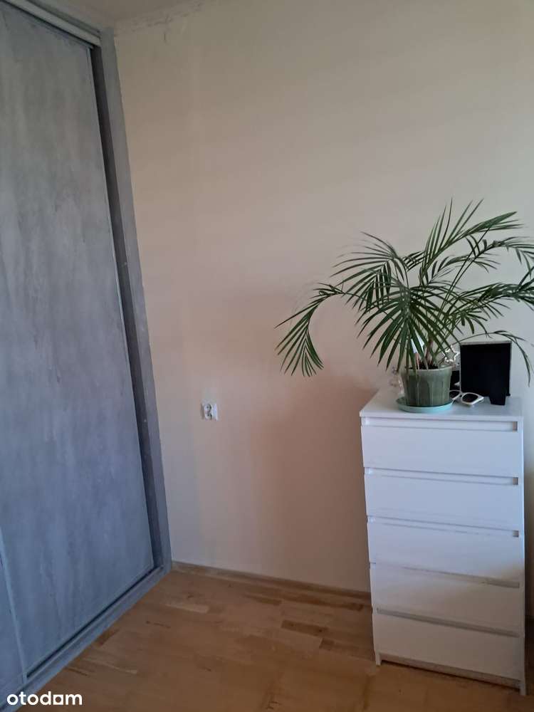 Oferujemy 2-pokojowe mieszkanie 47m2-6