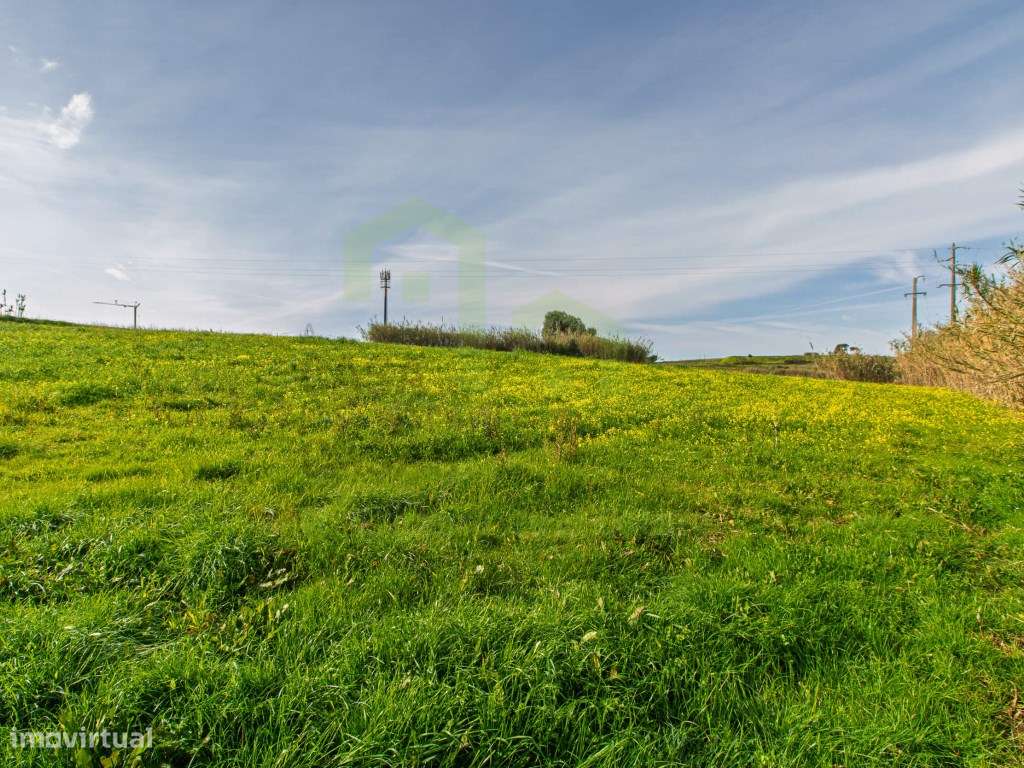 Vende Terreno - Ericeira 13 km, A Casa das Casas - Grande imagem: 5/13