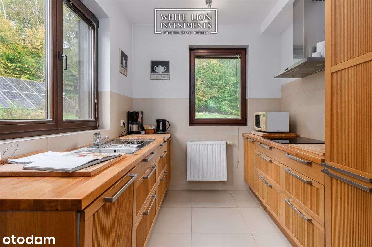 Wzgórze Dylewskie| Siedlisko| Las I Natura|Premium - Pełny obrazek: 5/20