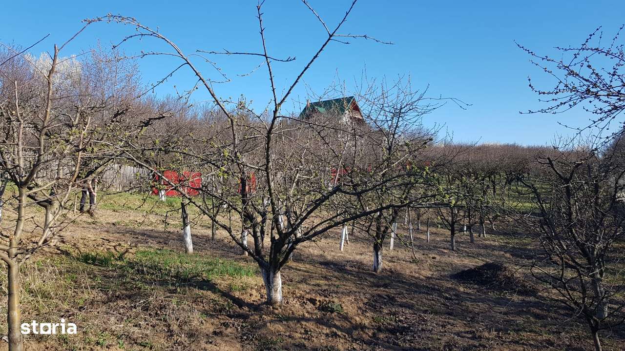 Teren intravilan ideal constructie casa - Pietraria - Barnova – IASI-15