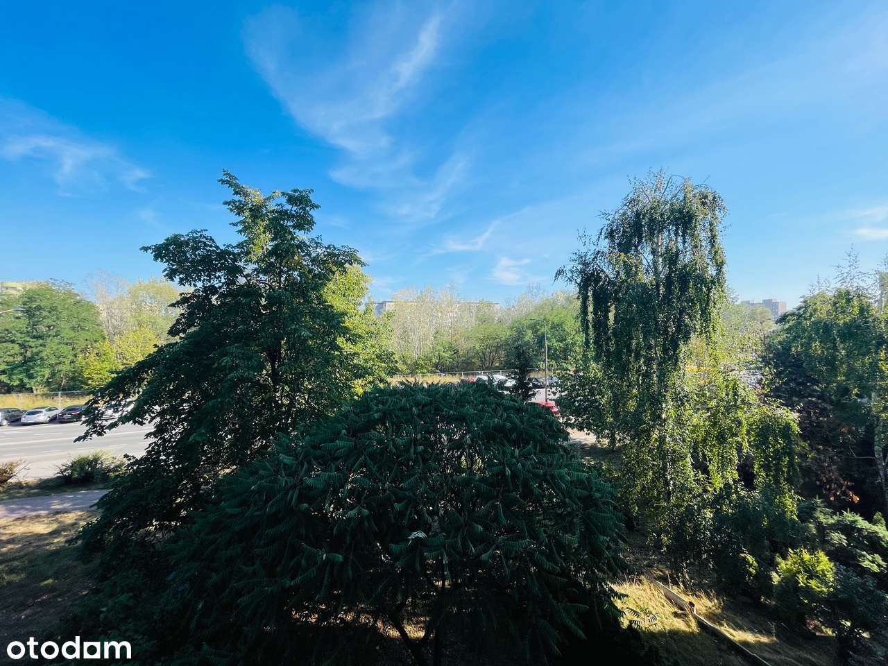 Bezpośrednio odświeżone i gotowe do wprowadzenia komórka i piwnica-5