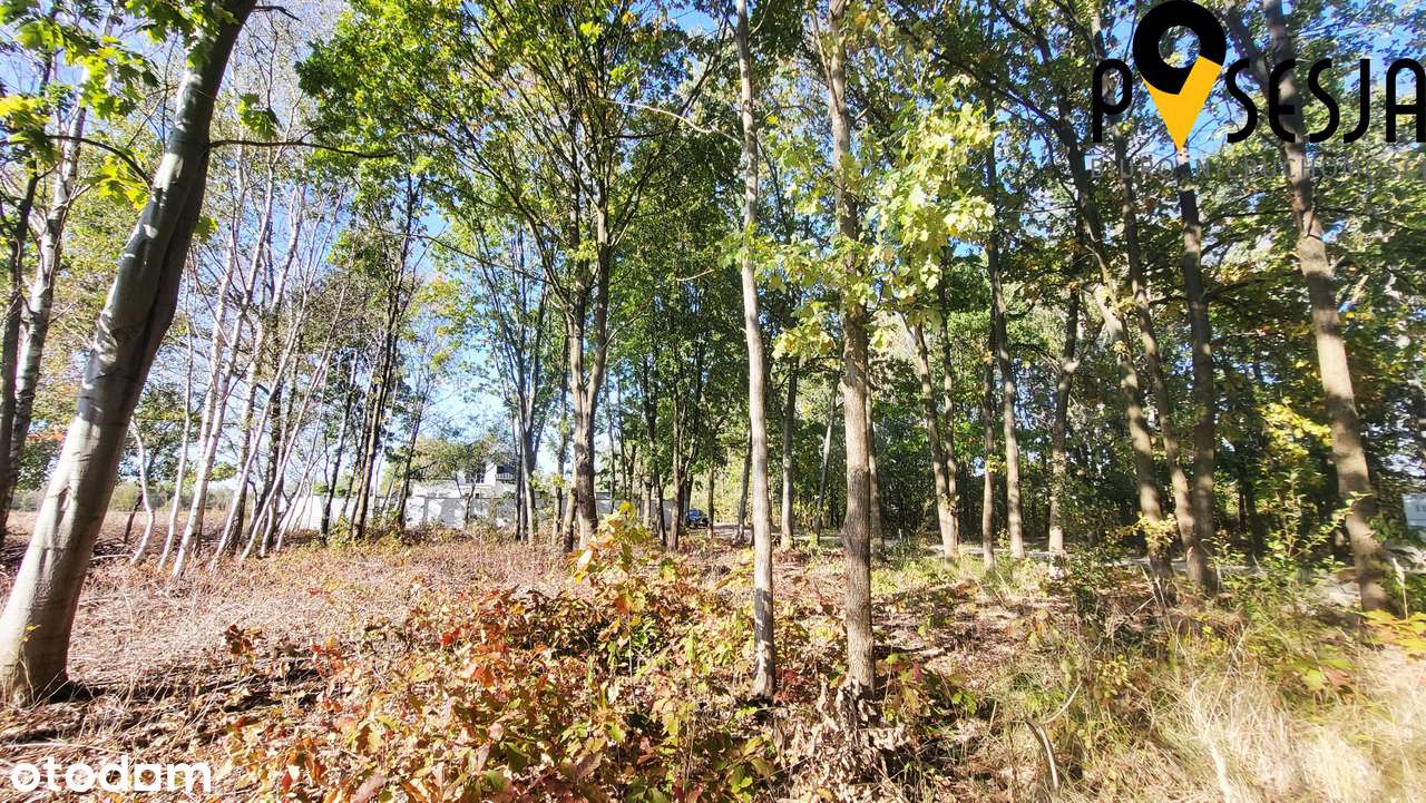 Działka budowlana 1000m2 Gołków wieś-Piaseczno - Pełny obrazek: 5/6