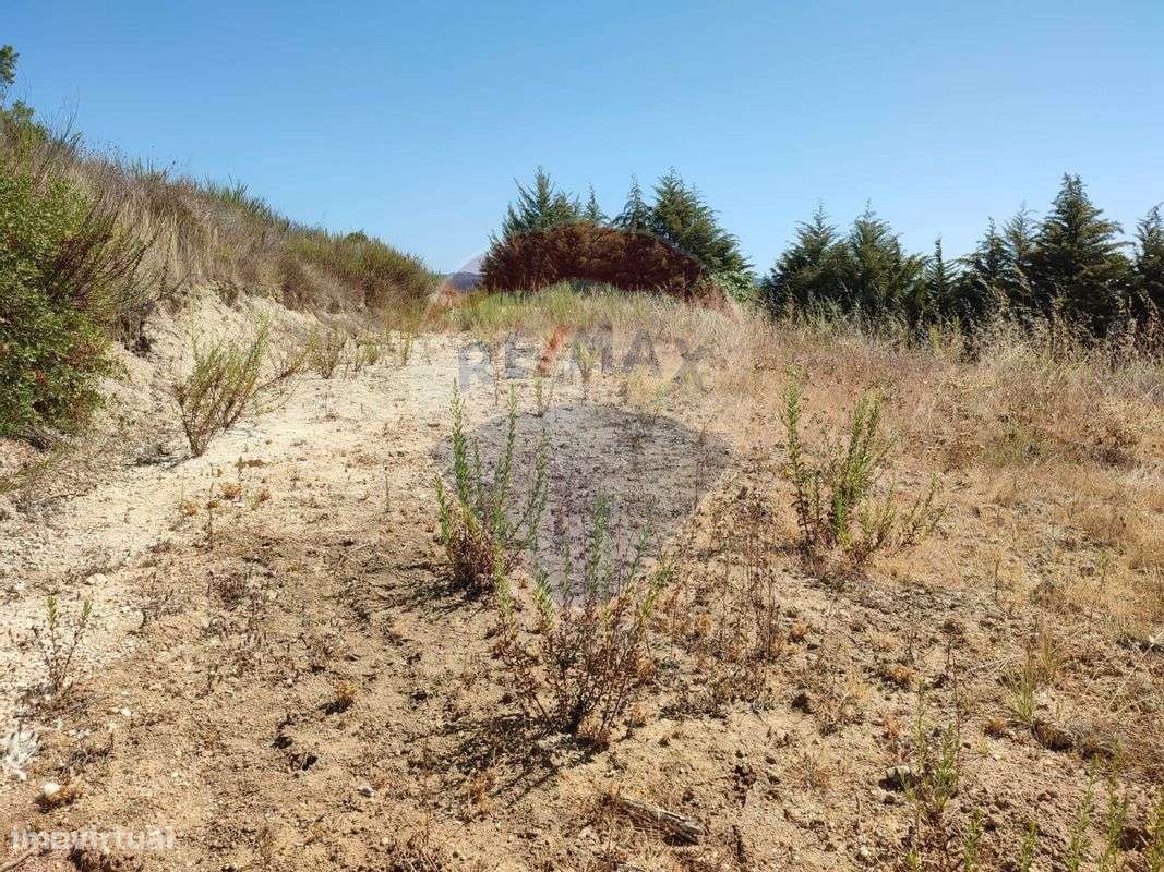 Terreno  para venda - Grande imagem: 4/10