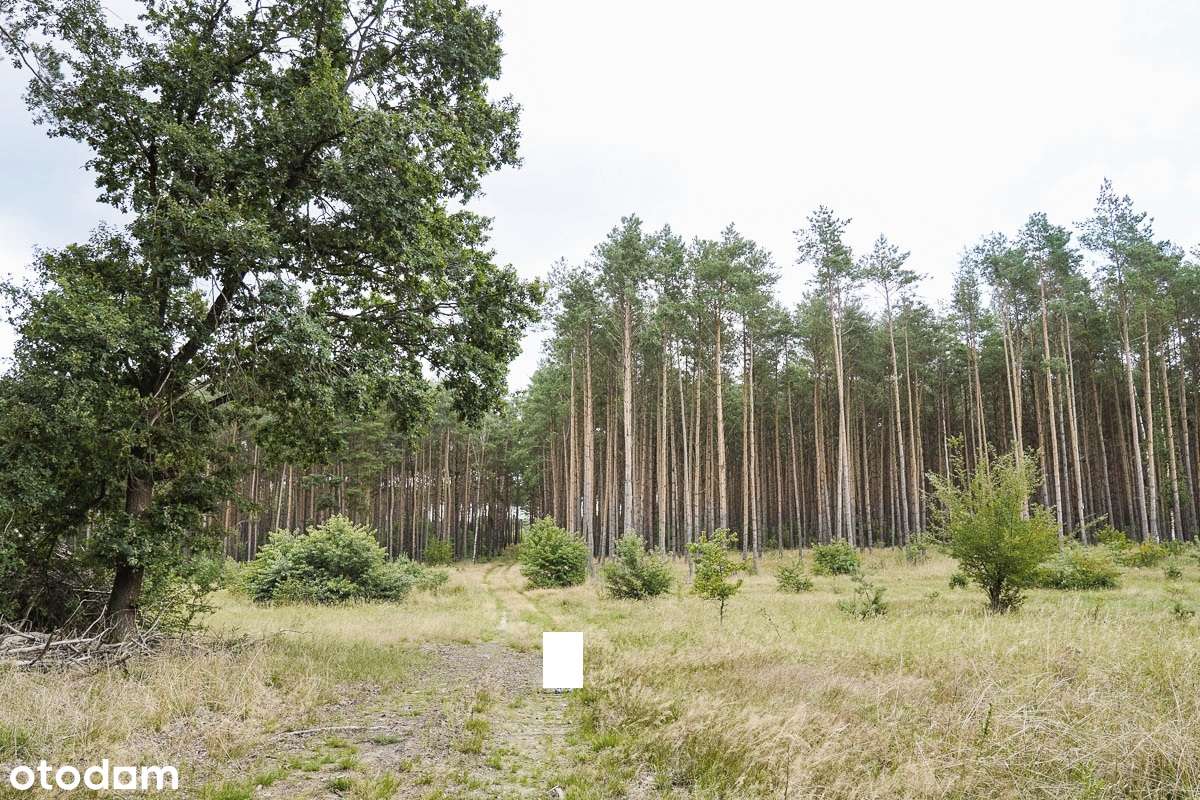 Wyłączność urokliwa działka ok. Z.Góry-4