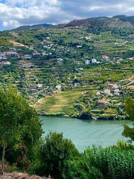 Moradia Rústica com Terreno e Vistas Rio Douro - Grande imagem: 4/4