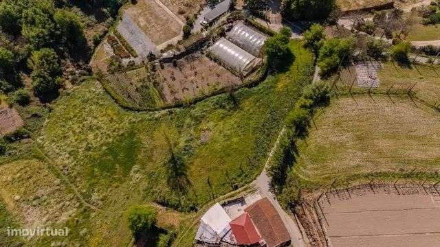 Quinta Exclusiva em Abação – Refúgio com 14.000 m²-30