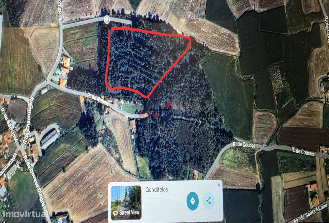 TERRENO RÚSTICO, GONDIFELOS, VILA NOVA DE FAMALICÃO - Grande imagem: 3/8