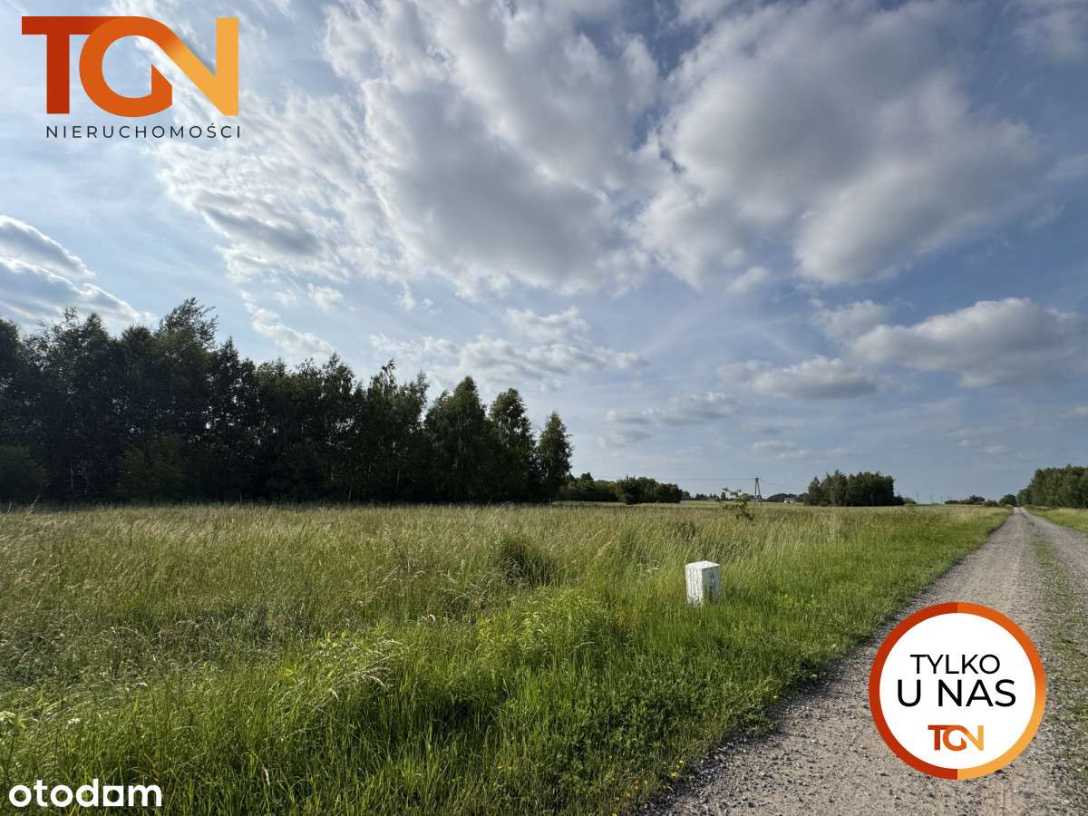 s960740 - Pełny obrazek: 4/6