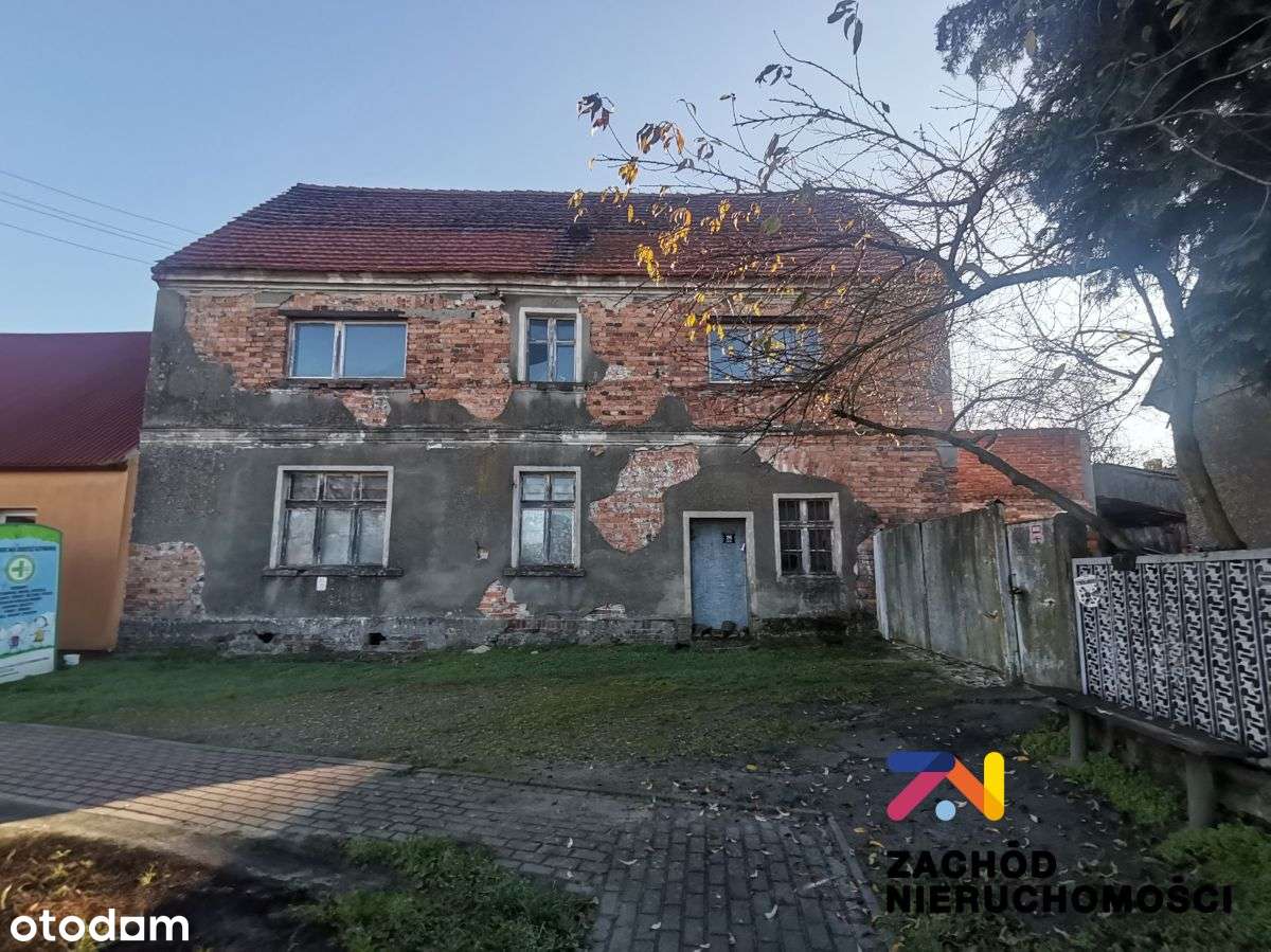 Działka zabudowana o pow. 6200 m2 w Dąbrowie - Pełny obrazek: 4/6