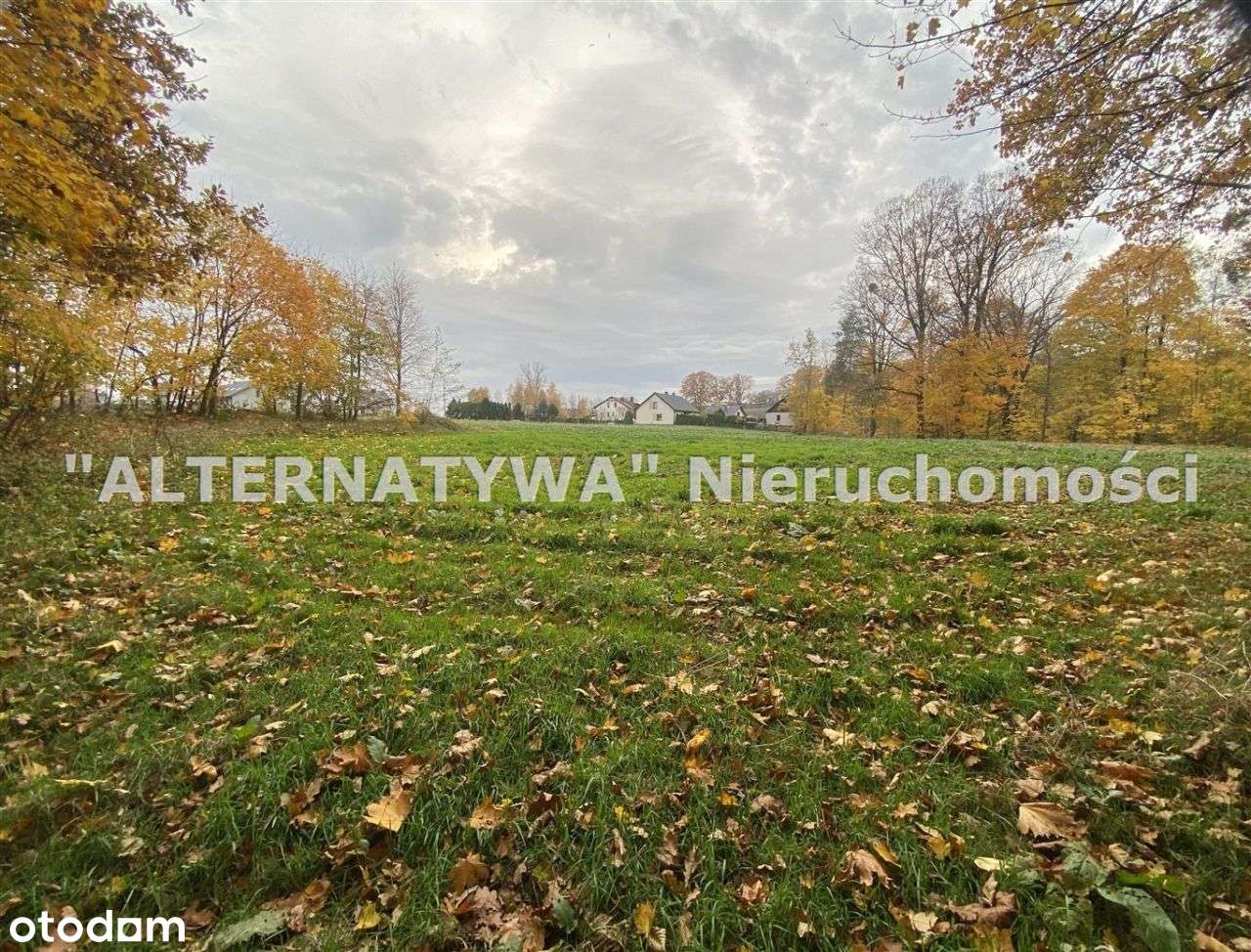 Wyjątkowa działka Mizerów-3