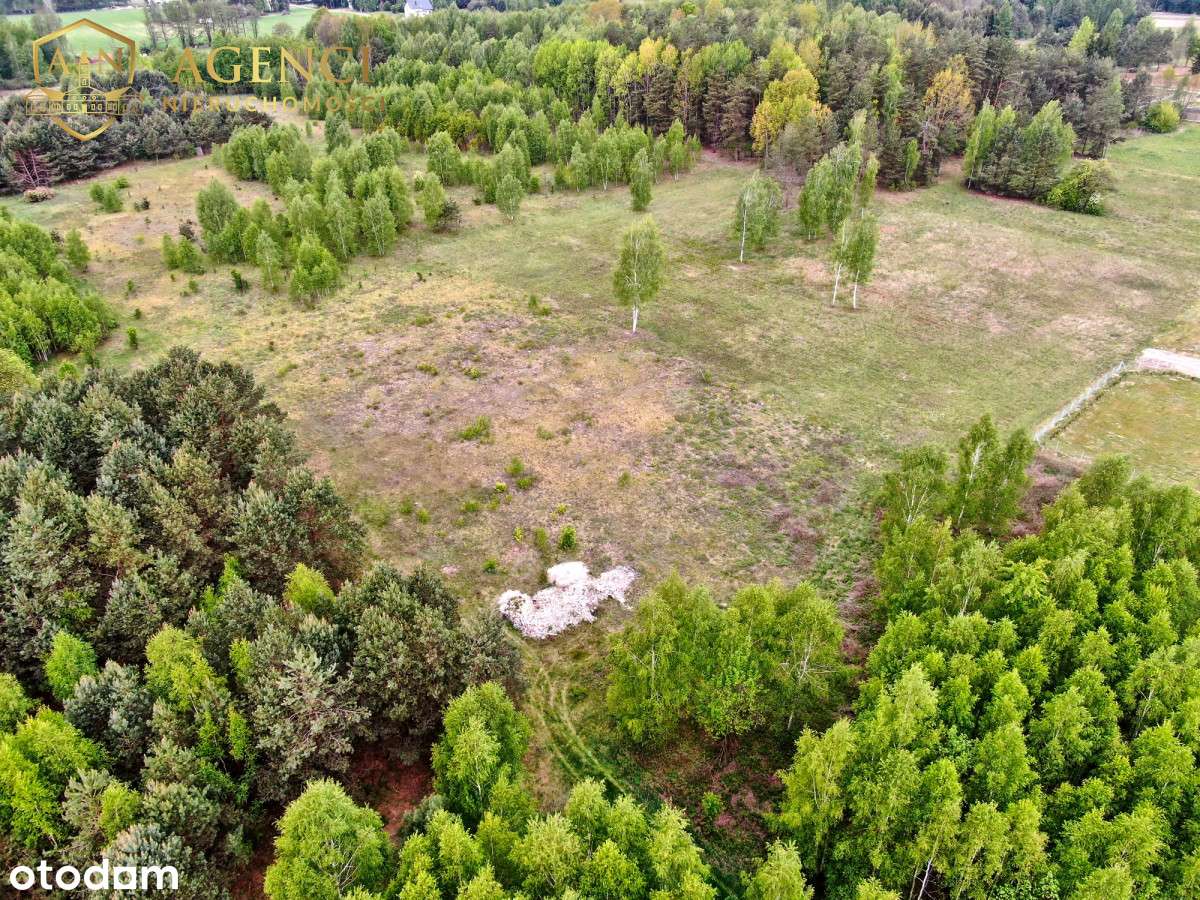 **Piękne Olmonty**Pod Lasem**2 Działki** - Pełny obrazek: 4/5