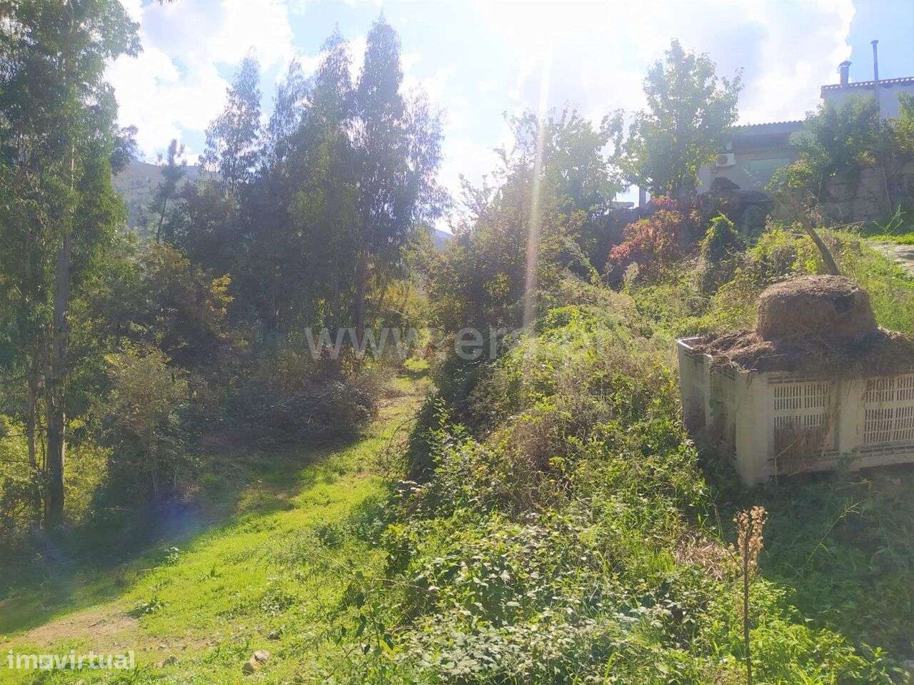 Terreno / Cinfães, Santiago de Piães - Grande imagem: 5/9
