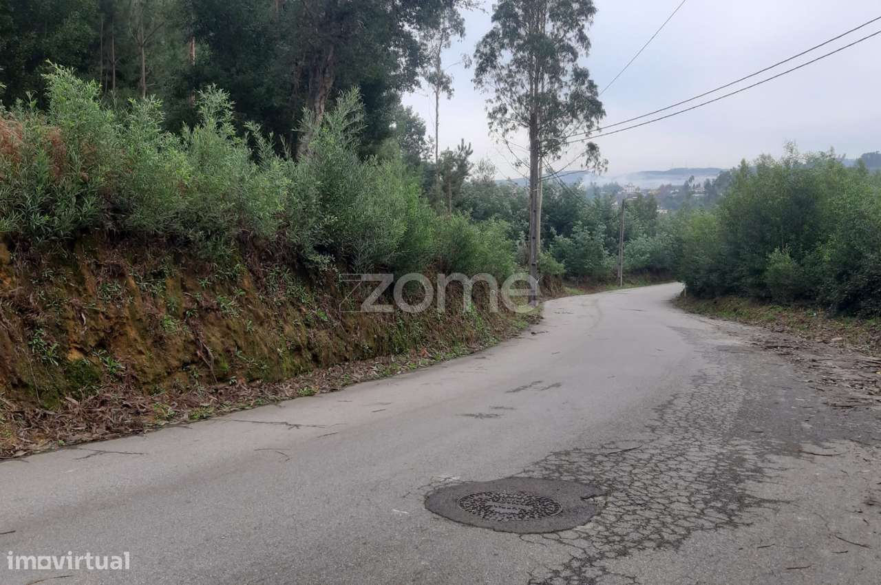Terreno Rústico com 5165m2, em Salgueiro, Oliveira de Azeméis - Grande imagem: 5/6