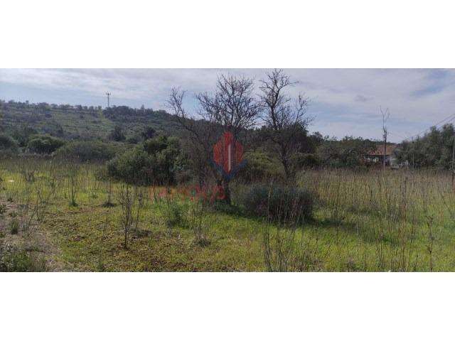 Terreno Rústico com 1970 m² – Silves - Grande imagem: 5/7