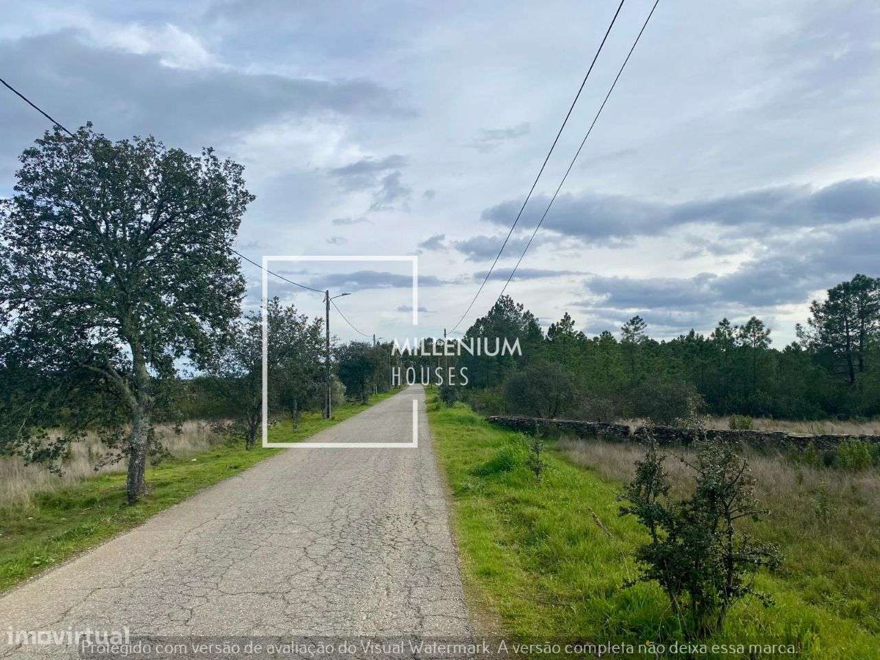 **Terreno Excecional em Sarnadas de Rodão**-3
