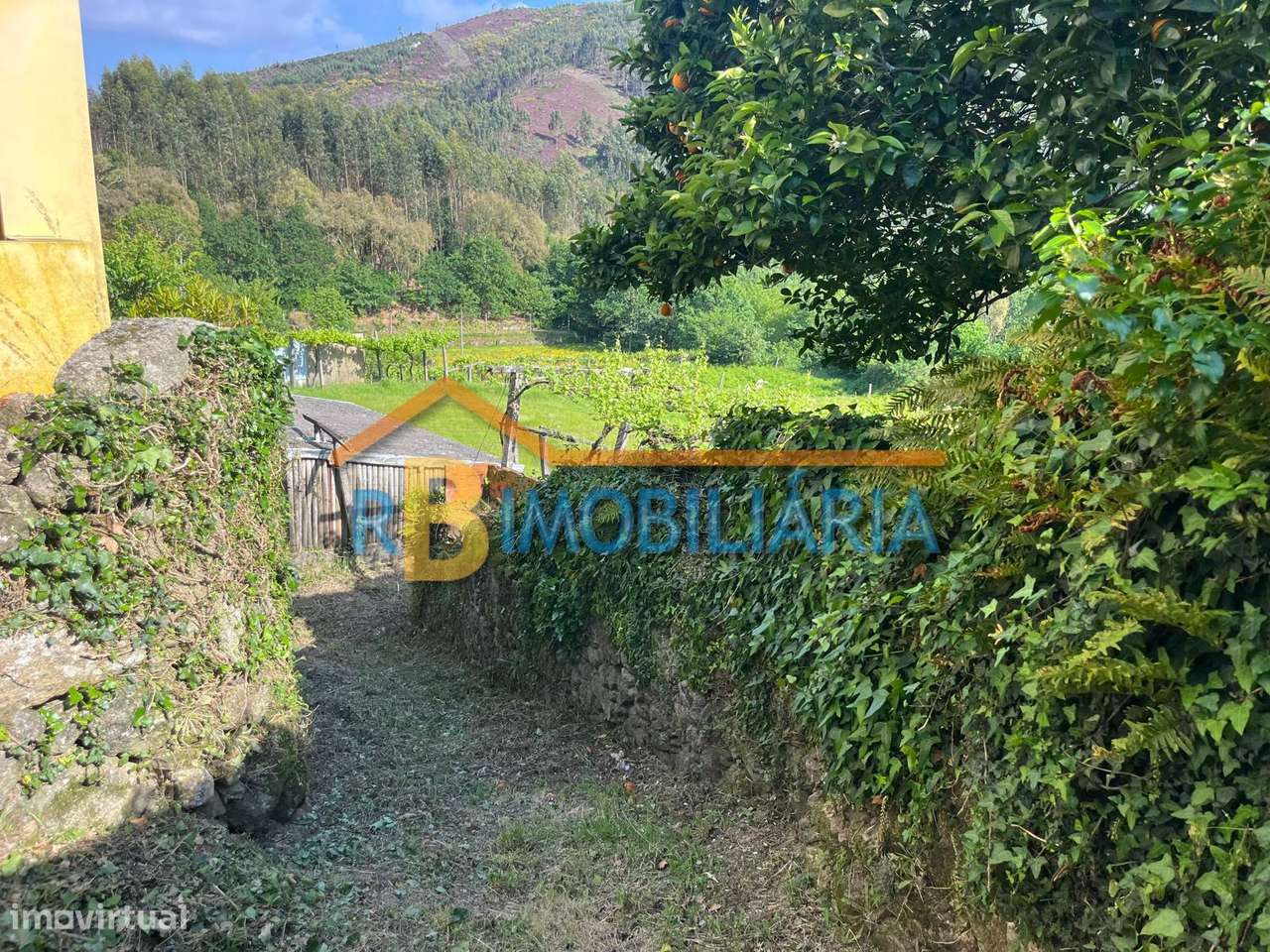 Terreno rústico em Moldes – Arouca - Grande imagem: 4/6