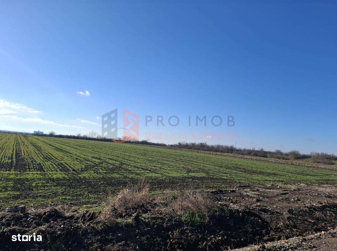 Teren intravilan 2461 mp zona Vadu pasii Nod rutier Autostrada A7 - Imagine principală: 2/3