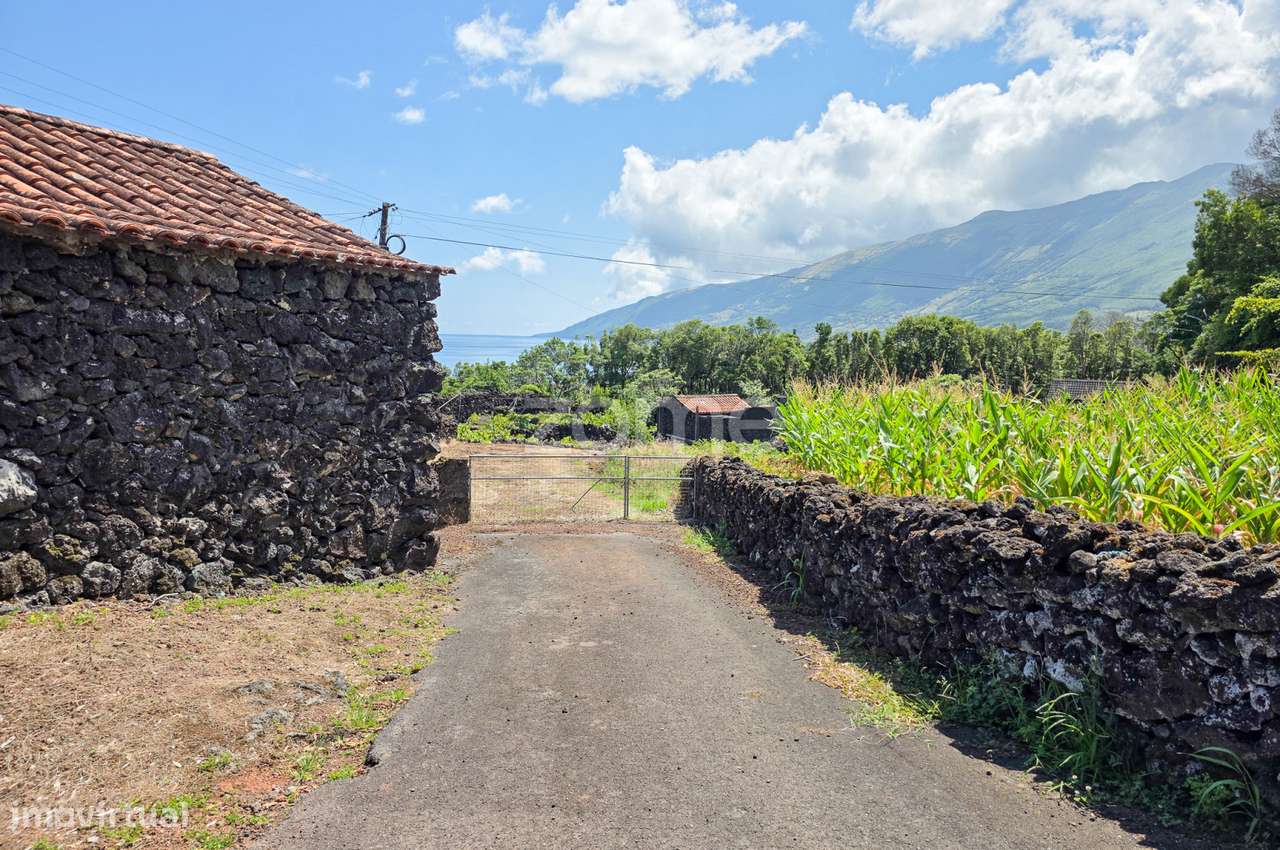 Terreno rústico com 1.371 m2 com adega em pedra na Prainha - Grande imagem: 3/25