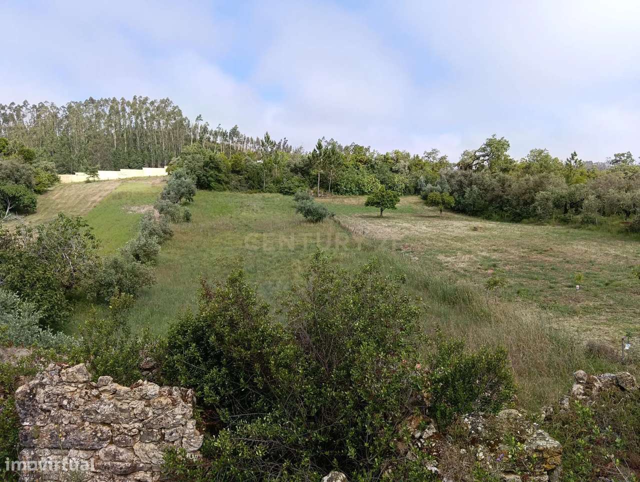 Ruina em Pombal, com vista de excelência-15
