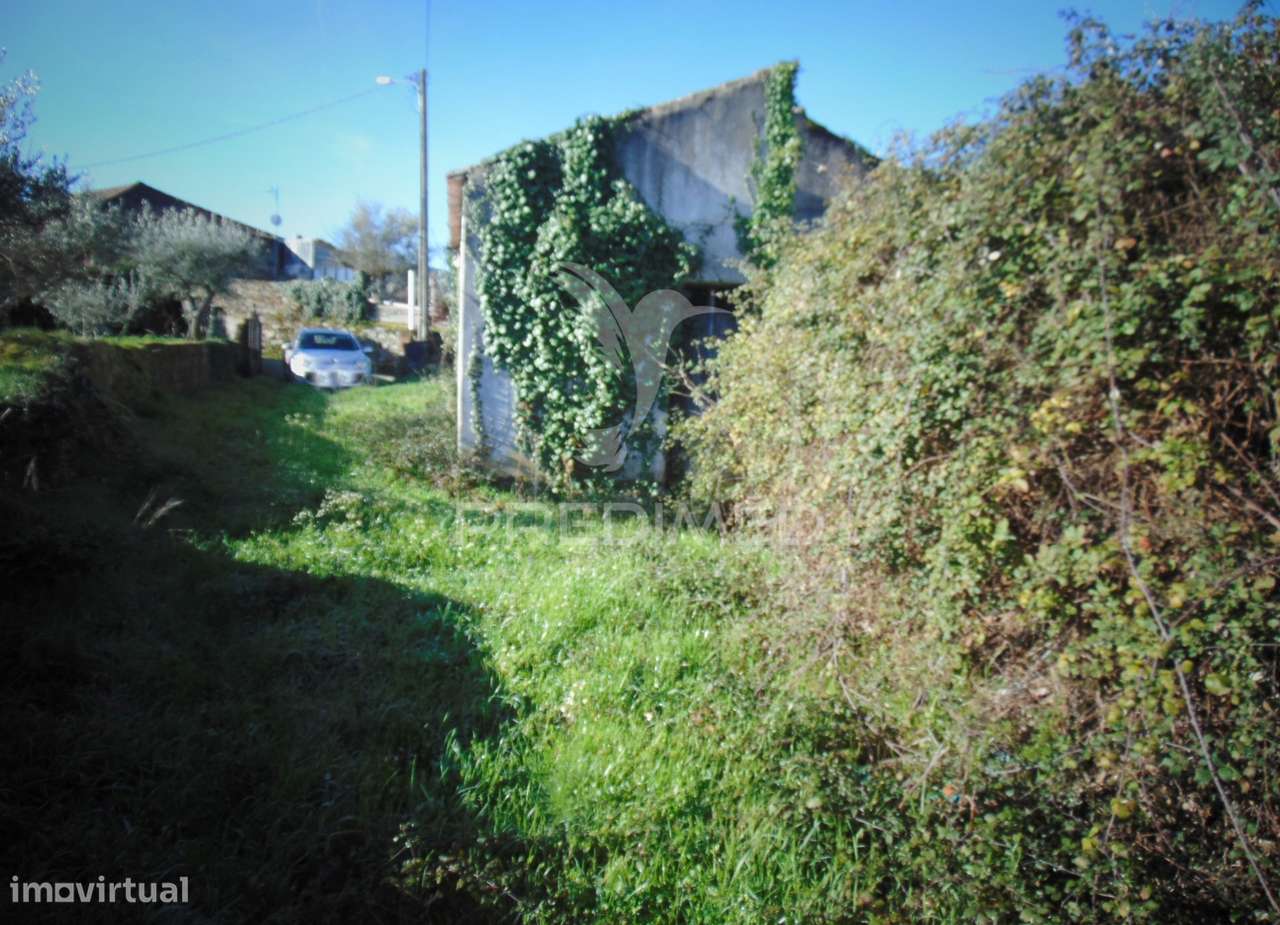 Imóvel p/ recuperar Vilarinho S. Romão - Douro Vinhateiro - Grande imagem: 5/20