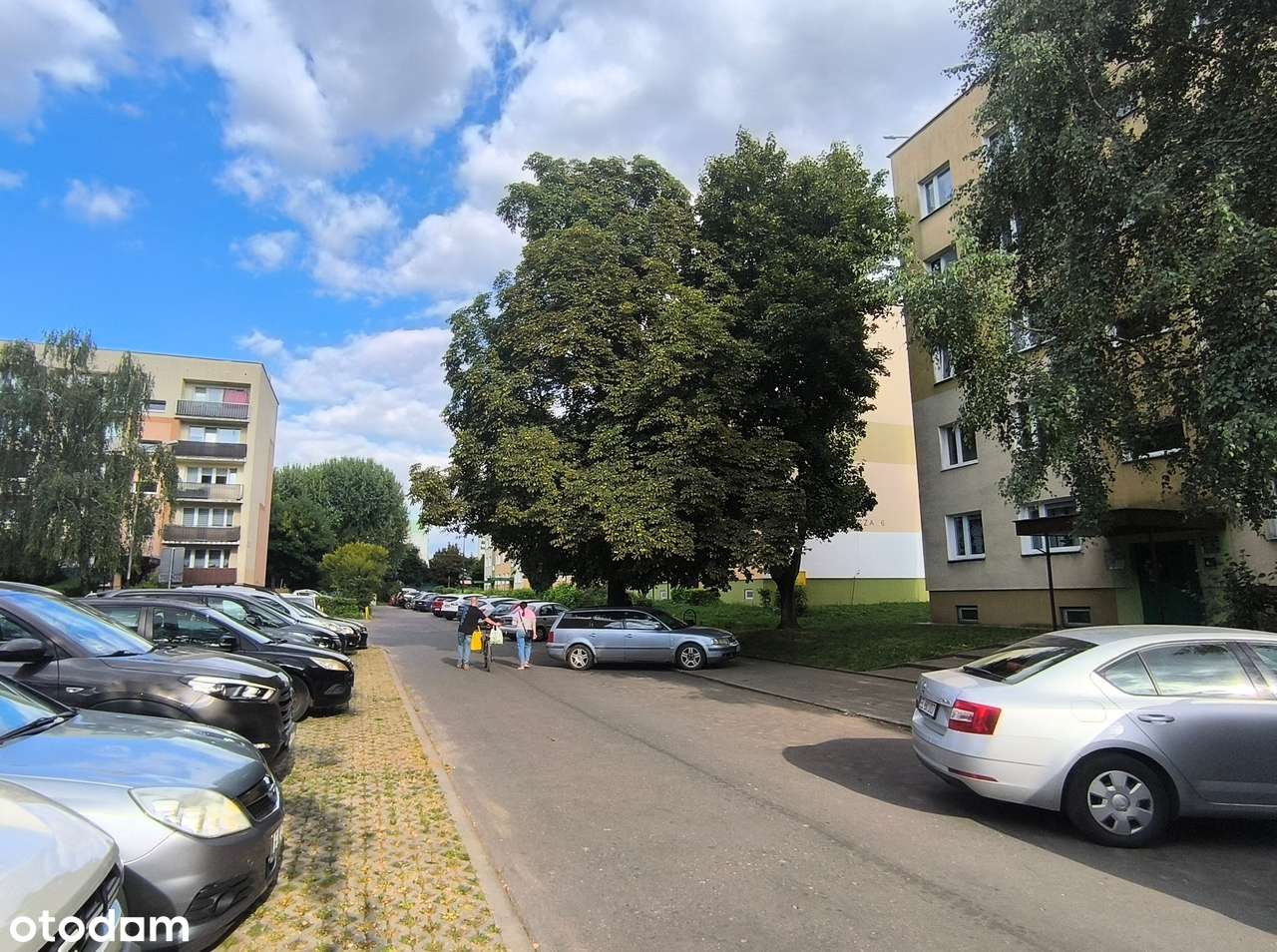 0% prowizji! 2 pok IIp, Chojny 51m2 Wyposażone. Po generalnym remoncie-15