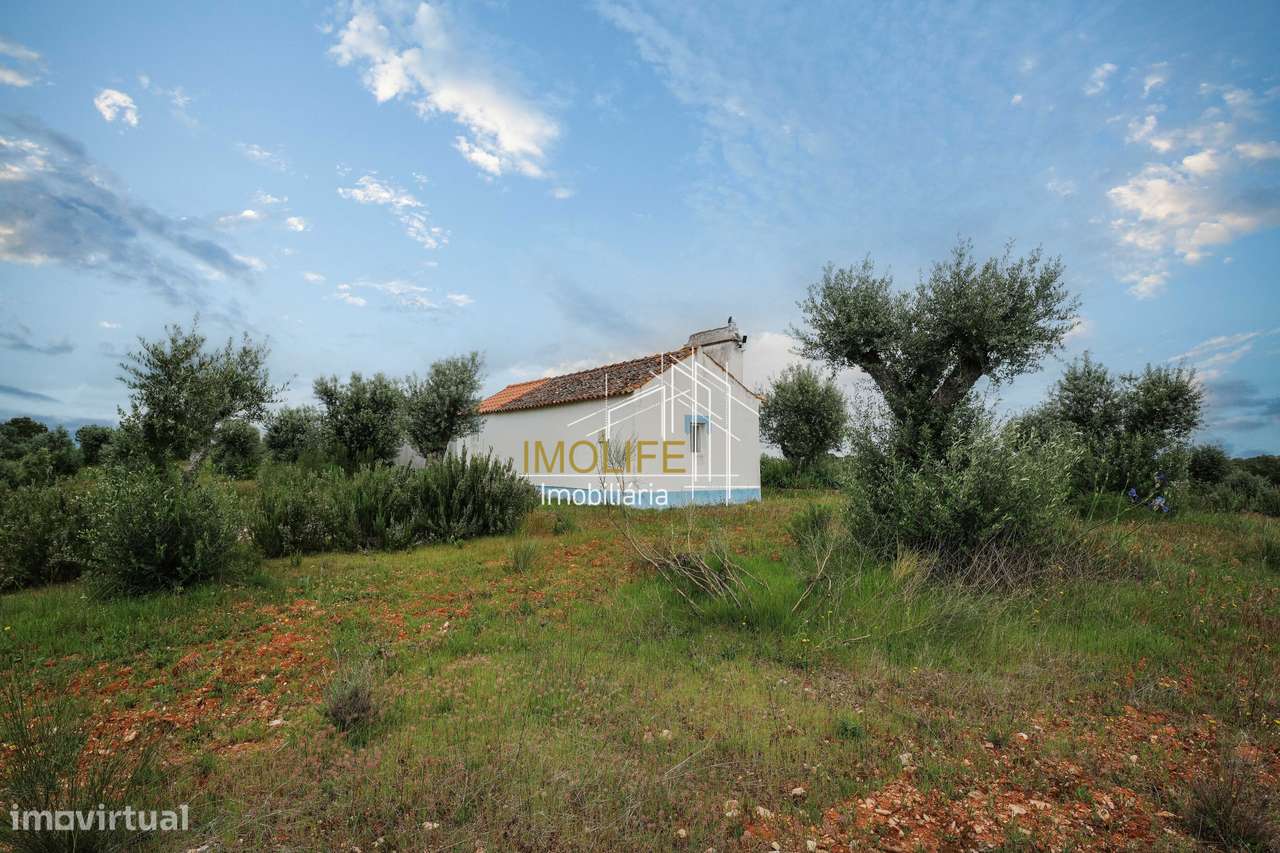 MONTINHO DO CHIADO - MALARRANHA - PAVIA-54