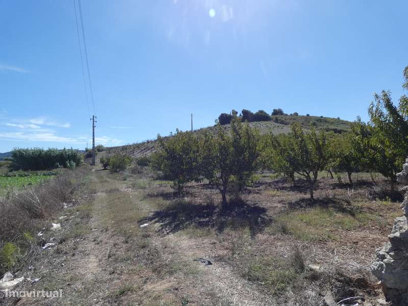 Lote de Terreno c/Projeto Aprovado para moradia Isolada junto a praia! - Grande imagem: 5/24