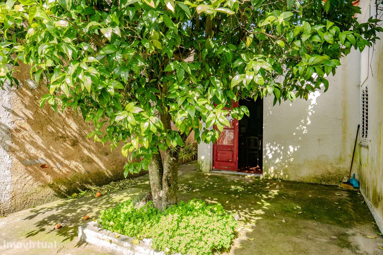 CASA COM QUINTAL | PARA VENDA | FALCOEIRAS-31