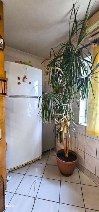 Apt. 2 camere, Aviatiei-Baneasa, in imediata apropiere a parcului Hera - Imagine principală: 4/11