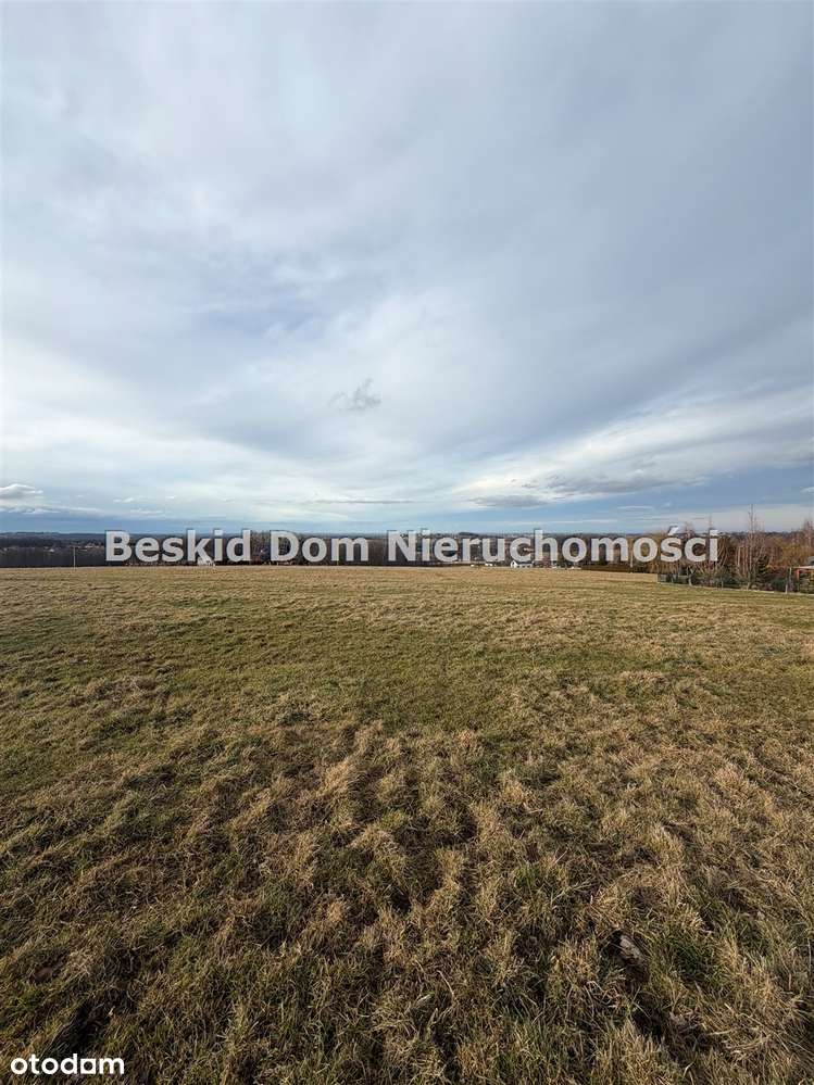 Działka na sprzedaż, Jasienica-2