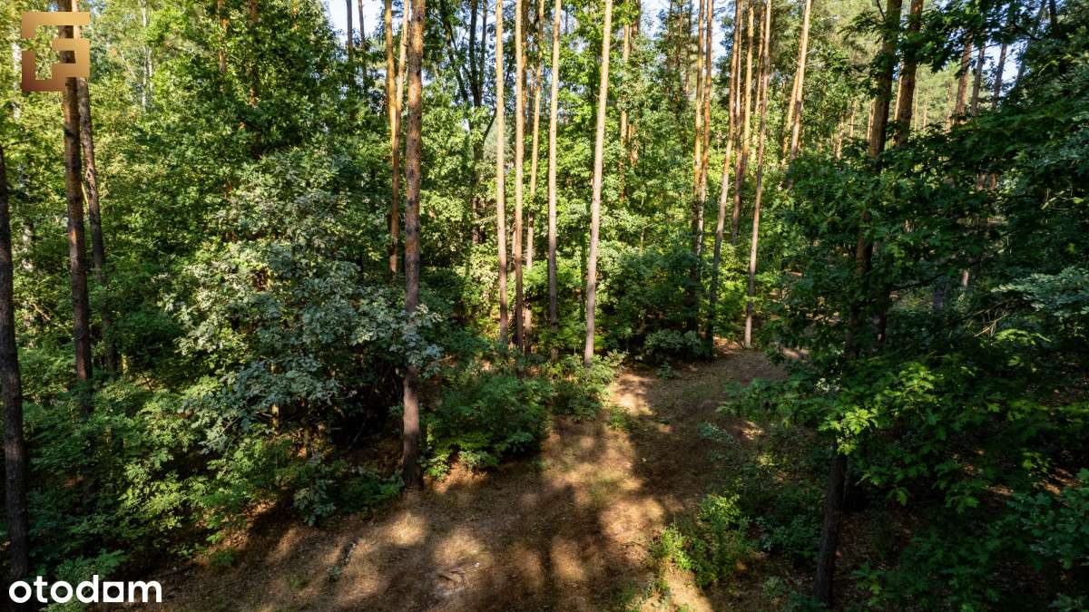 Cicha leśna działka z dobrym dojazdem / Skm-7