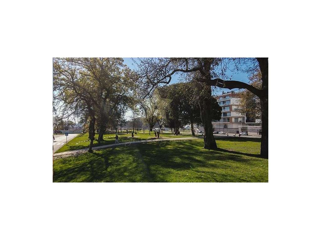 Loja localizada em Águas Santas junto ao Parque da Picuá. - Grande imagem: 5/7